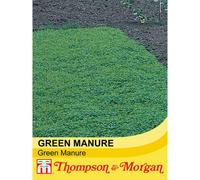 Green Manure 1 Seed Packet - Thompson & Morgan