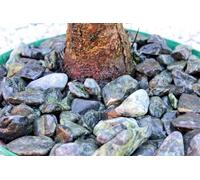 GREEN MINT Decorative Garden Stones 20-40mm - 20kg Bag | Natural Landscaping Rocks for Pathways, Borders & Water Features | Bright Chippings for Outdoor & Indoor Use (GREEN MINT, SAMPLE BAG 1KG)