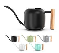 Green Moon 1.2L/41oz Metal Metal Watering Can with Long Spout, Black