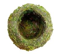 Green Moss Ball Pot, Moss Planter Pot Flower Stand