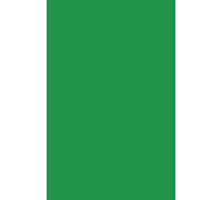 Green Notebook: 120 Pages • Graph Paper • Journal for Notes, Ideas and Planning