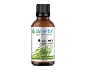 Green Oat Avena Sativ Vit.B Natural Tincture 50 ml nervous system, anti-stress