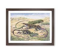 Green & Ocellated Lizards Vintage Framed Print | A2 Walnut Framed Wall Art | Ready to Hang | Classic Nature Picture | Living Room Bedroom Lounge Office
