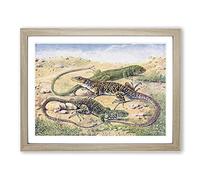 Green & Ocellated Lizards Vintage Framed Print | A3 Oak Framed Wall Art | Ready to Hang | Classic Nature Picture | Living Room Bedroom Lounge Office