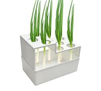 Green Onion Grower,Breathable Multi-Hole | Hydroponic Planter Growing Container | Outdoor Window Counter Garden Balcony Vegetable Hydroponic