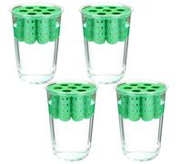 Green Onion Planter - 9x6x9cm Clear Reusable Hydroponic Scallion Grower, 7 Hole Seedling Sprouting Kit Transparent Mini Planter, Kitchen Corner Hydroponic Tray For Plant Flower