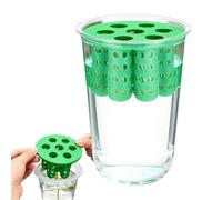 Green Onion Planter Box - 7-Hole Hydroponic Seedling Tray & Scallion Grower | Clear Mini Fish Tank Propagation Station For Pothos & Vegetables | Indoor Kitchen Regrower Set Home Garden & Patio