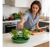 Green Onion Planter - Hydroponic Vegetable Pot, Scallion Regrow Window Planter, Soil-Free Indoor Garden | Automatic Watering Tray For Kitchen Counter Windowsill Balcony Sustainable