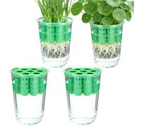 Green Onion Planter - Transparent, Acrylic, Vertical Hydroponic Spring Onion Station, Precision Germination Kit, Nutrient Rich Green Onion Planter for Windowsill Garden