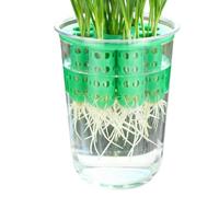 Green Onion Planter - Transparent, Acrylic, Vertical Hydroponic Spring Onion Station, Precision Germination Kit, Nutrient Rich Green Onion Planter for Windowsill Garden
