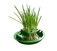 Green Onion Pot,Hydroponic Propagation Rack - Seeding Trays | for Indoor Corner Kitchen Gardening Window Patio Balcony Garden Vegetable