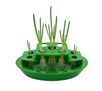 Green Onion Regrower - Hydroponic Plant Tray | Propagation Rack, Vertical Sprouter, Self Watering | Indoor Kitchen Garden Kit For Window Patio Growing Scallion Vegetables Fresh Organic Herbs Rooting