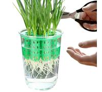 Green Onion Seedling Sprouting Kit, Endless Scallion Supply, 9x6x9cm, Scallion Grower Seed Sprouting Kit, Green Onion Planter, Healthy Plant Structure, For Windowsill Garden Home Indoor Kitchen Corner