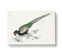 Green Pheasant By Numata Kashu Asian Japanese Canvas Wall Art Print Ready to Hang, Framed Picture for Living Room Bedroom Home Office Décor, 50x35 cm (20x14 Inch)