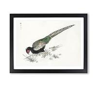 Green Pheasant By Numata Kashu Asian Japanese Framed Print | A2 Black Framed Wall Art | Ready to Hang | Asian Nature Picture | Living Room Bedroom Lounge Office