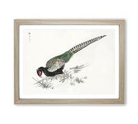 Green Pheasant By Numata Kashu Asian Japanese Framed Wall Art Print, Ready to Hang Picture for Living Room Bedroom Home Office Décor, Oak A2 (64 x 46 cm)