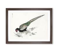 Green Pheasant By Numata Kashu Asian Japanese Framed Wall Art Print, Ready to Hang Picture for Living Room Bedroom Home Office Décor, Walnut A3 (46 x 34 cm)