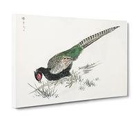 Green Pheasant By Numata Kashu Canvas Print | Gallery Wrapped 30mm Frame Wall Art | 24x16 inches | Ready to Hang | Asian Picture | Living Room Bedroom Lounge Office