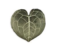 Green Philosophy Co. Plush Leaf Pillow - 3D Accent Clarinervium Leaf Throw Pillow for Couch Sofa Living Room Home Decor for Plant Lovers, Garden Lovers, Green Thumb Family & Friends