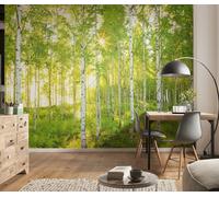 Green photo wallpaper 8.3x12 feet Green Trees sunny day Wall Mural White Poplar