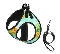 Green Pineapple. Print Pet Leash Vest,Breathable Mesh Pet Harness, Reflective For Small Medium Dogs Safe Easy Walking