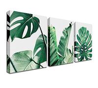 Green Plant Prints Wall Art - Botanical Poster Painting Monstera Succulent Shallow Leaf Pictures Wall Decor Modern Minimalist Tropical Leaves Decoration for Living Room Bedroom Kitchen 12x16in Framed