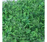 Green Plastic Fence Screen 40x60cm for Garden Privacy | Realistic green look, 40x60cm size, for ideal for walls, fences, privacy screens, indoor outdoor use