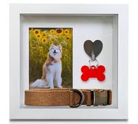 Green Pollywog Pet Memorial Shadow Box with Photo, Tag and Collar | White Frame with 4x6 Image Opening | 10x10x2.5 Inch Keepsake Box