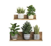 Green Potted Plant Wall Decal Waterproof Removable Bonsai Wallpaper Wall Sticker for Living Room Bedroom Offices Decoration