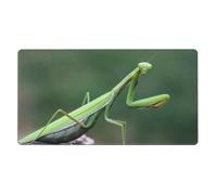 Green Praying-Mantis,Mouse Pad Large Desk Pad Computer Keyboard Mouse Mat with Non Slip Rubber Base 40 x 70 cm
