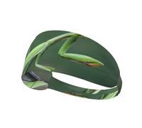Green Praying-Mantis,Sports Sweatband for Unisex Multi Headband Elastic Exercise Hairband