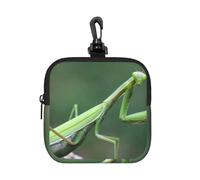 Green Praying-Mantis, Square Zipper Storage Bag, Neoprene Coin Purse, Small Wallets, Change Pouch, Change Purse
