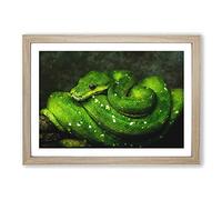 Green Python Snake Painting Framed Print | A2 Oak Framed Wall Art | Ready to Hang | Modern Historical Picture | Living Room Bedroom Lounge Office