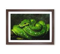 Green Python Snake Painting Framed Print | A2 Walnut Framed Wall Art | Ready to Hang | Modern Historical Picture | Living Room Bedroom Lounge Office
