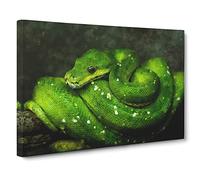 Green Python Snake Painting Modern Art Canvas Wall Art Print Ready to Hang, Framed Picture for Living Room Bedroom Home Office Décor, 20x14 Inch (50x35 cm)