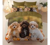 Green-Queen Bedding 3Pcs Comfortable and breathable Printed duvet cover, Soft Brushed Microfiber Perfect for any room Animal Photography Dog On The Ground theme Bedding 230 x 220 cm, Zipper closure
