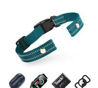 Green Reflective Dog Collar Replacement Strap