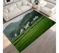 Green Rice Fields Non-Slip Flannel Rug 160x230 cm Area Rugs 3D Rural Pastoral Scenery Soft Low Pile Indoor Carpet Suitable for Bedrooms Studies Living Rooms and Hallways (5x7.5ft) c-172