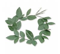 Green Laurel Leaf Headband (Pack of 1) - Exquisite Design, Perfect Headpiece for Historical, World & Culture, World Book Day, Themed Events, Cosplay, & More Halloween Halloween