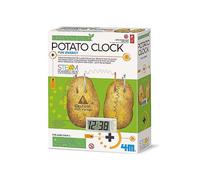 Green Science Potato Clock Green
