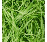 Green Shredded Tissue Paper 100g - Soft Easter Grass and Gift Box Filling for Hampers, Gift Boxes, Baskets, Christmas, Birthdays and Craft Decorations