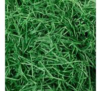 Green Shredded Tissue Paper, 200g Shredded Paper for Gift Boxes, Soft and Vibrant Filler for DIY Decorations, Easter Holiday Gift Wrapping, Wedding and Birthday Presents