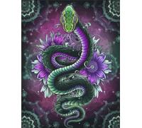 Green snake notebook: 120 blank, numbered pages, 8,5”x11”. Perfect for notes, creative writing, drawing and sketching.