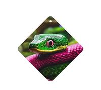 Green Snake Printing 10 Pieces Air Freshener Car Hanging Cards Air Freshener Sheets With Rope For Cars Home