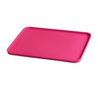 Green Sprouts - Silicone Learning Placemat - Pink