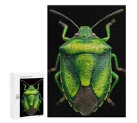 Green Stink Bug Macro Photography Jigsaw Puzzle, 300 PCS, Indoor Activity for The Home, An Absorbing Project for Relaxed Weekends, at Home