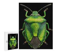Green Stink Bug Macro Photography Jigsaw Puzzle, 500 PCS, Indoor Activity for The Home, An Absorbing Project for Relaxed Weekends, for Family Fun