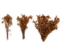 Green Stuff World 40mm Tall Shrubbery - Dry Natural