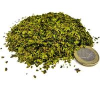 Green Stuff World Large Leaf Litter 10g - Spring Green