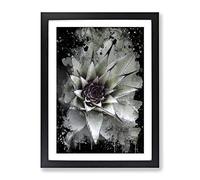 Green Succulent Cactus Modern Cb Framed Wall Art Print, Ready to Hang Picture for Living Room Bedroom Home Office Décor, Black A2 (64 x 46 cm)